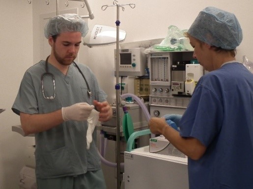 Ward Audits